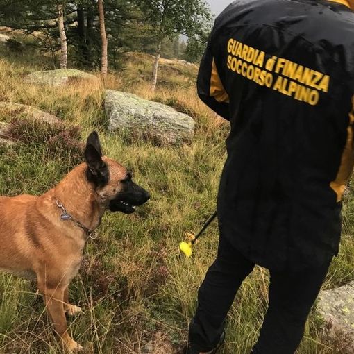 A Caselette si esercitano le unità cinofile del soccorso alpino della finanza