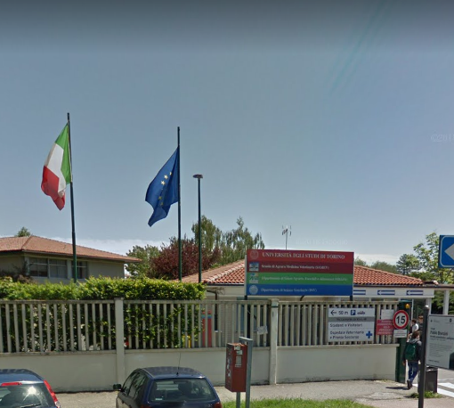 Grugliasco, il caso della Cm Service arriva in Parlamento e il Governo apre un'istruttoria
