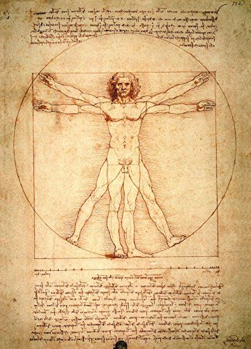 Da oggi al via &quot;Delle misure universali de’ corpi &quot; nell'ambito della mostra dedicata a Leonardo