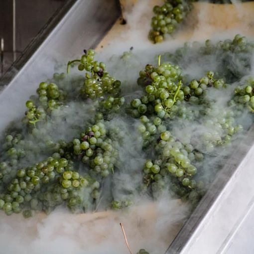 Coldiretti Piemonte sul vino:&quot;Serve liquidità per salvare cantine”
