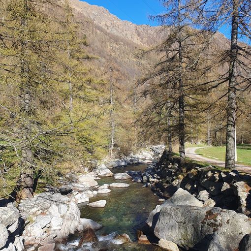 Botteghe dei servizi in arrivo in Canavese e Valli di Lanzo, Cane (Lega): &quot;Ecco le prime testimonianze dal territorio&quot;