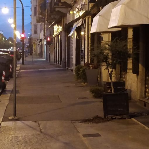 Torino, vandali in azione in corso Stati Uniti, sradicati piante ed alberi