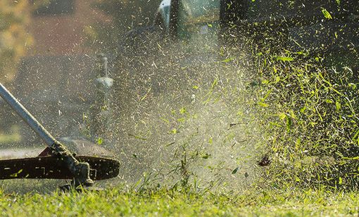 Taglia erba in azione