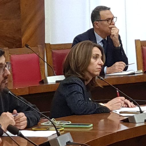 Lear, Chiorino al Mimit: “Dalla Regione misure efficaci per i lavoratori”