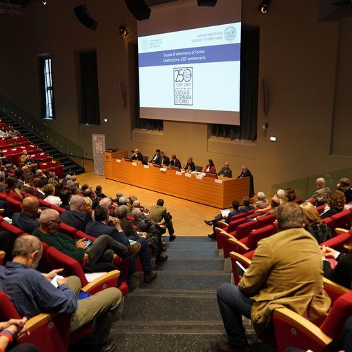 La Scuola Veterinaria compie 250 anni: 10mila gli animali curati ogni anno dall’ospedale didattico