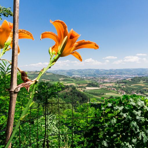 vezza d'alba e castellinaldo