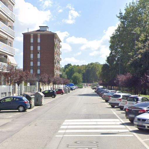 Al via domani intervento di cura dell'alberata di via Sospello