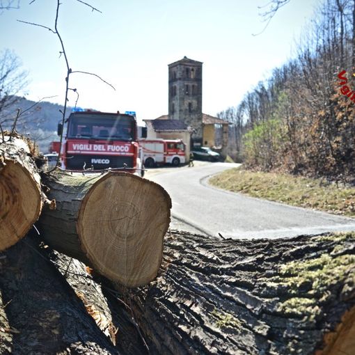 Roghi boschivi, situazione in netto miglioramento nel Canavese