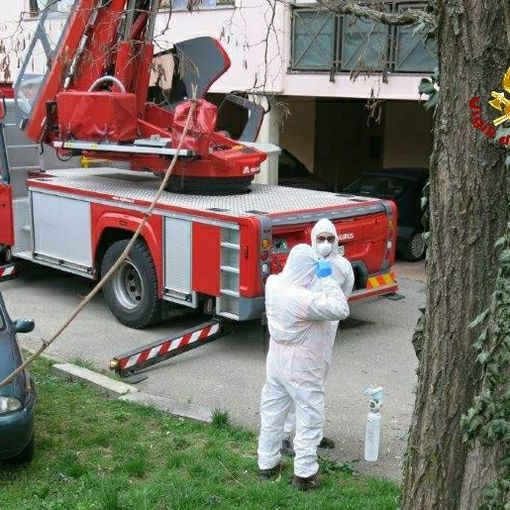 I sindacati dei Vigili del Fuoco: &quot;Tampone per tutti i pompieri piemontesi&quot;