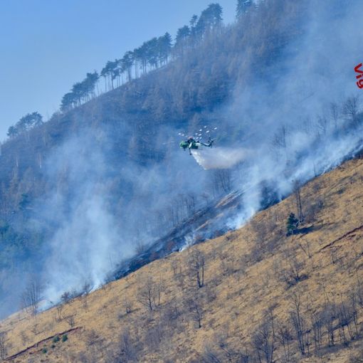 Roghi boschivi, continua la mobilitazione del Sistema regionale antincendi