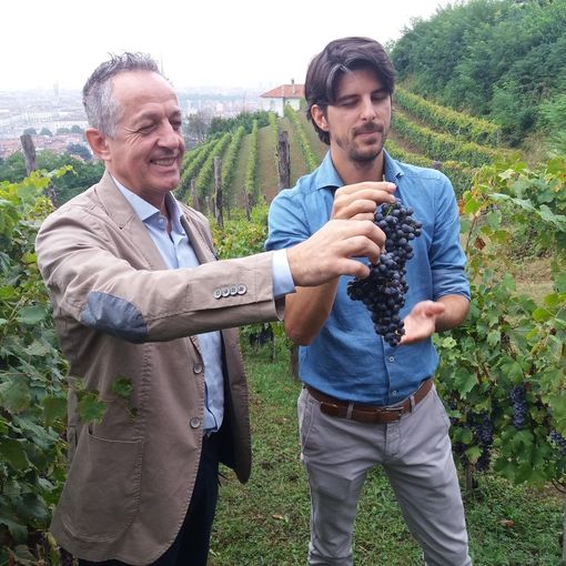 Per la vigna di Villa della Regina sarà &quot;un'ottima annata&quot;: ecco l'uva miracolosa che sovrasta Torino [FOTO]