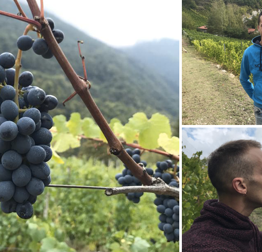 La strada dei vigneti alpini fa tappa in Val Susa: “Qui noi giovani viticoltori vogliamo ripopolare la montagna” [VIDEO e FOTO]