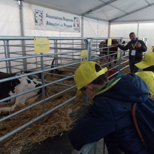 La richesta di Coldiretti Piemonte: &quot;Utilizzare le risorse residue mettendo al centro le imprese agricole&quot;
