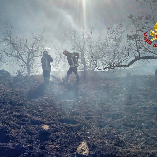 Forte vento in Val di Susa: i vigili del fuoco impegnati a spegnere un incendio boschivo a Mattie