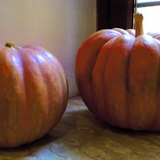 Sagra della Zucca a Brandizzo