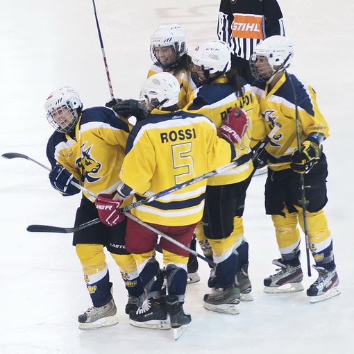 HC Torino Bulls: tutto pronto per l'esordio in serie A