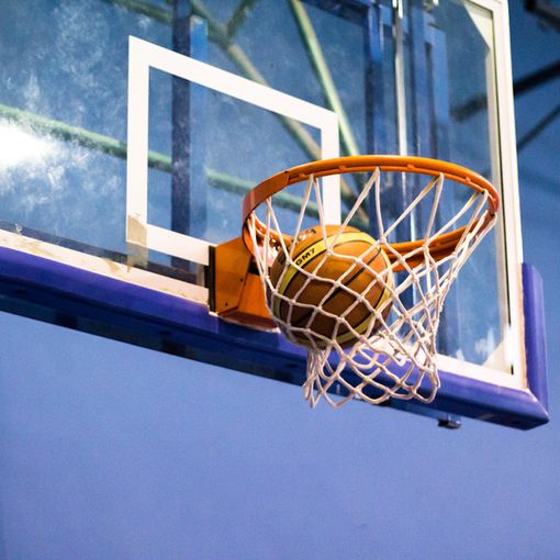 Ready for a Challenge: basket 3vs3 in solidarietà con gli amici a quattro zampe