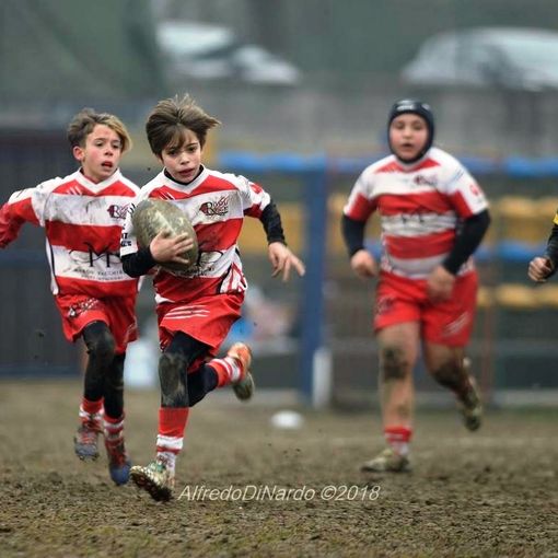 Rivoli rugby: una Under 6 sempre presente e al completo si diverte in un campo infangato contro i pari età del  Moncalieri e   Cuneo