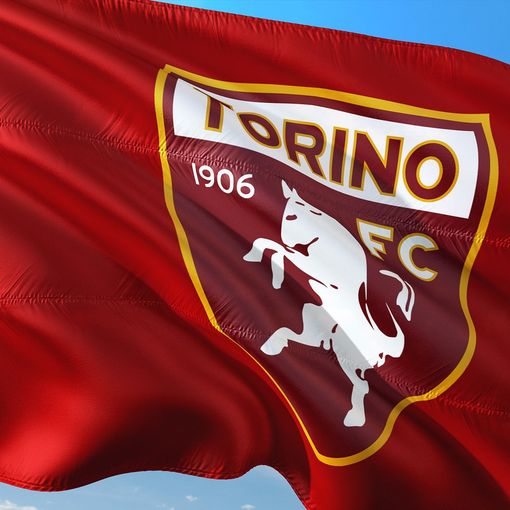 Il calciomercato del Torino