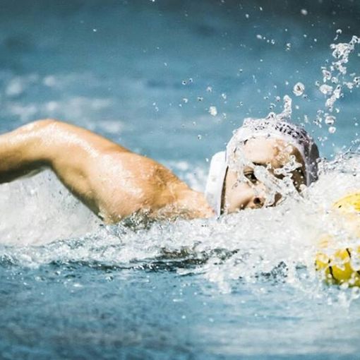 Pallanuoto: alla Monumentale arriva il Bogliasco a sfidare la Reale Mutua Torino ’81
