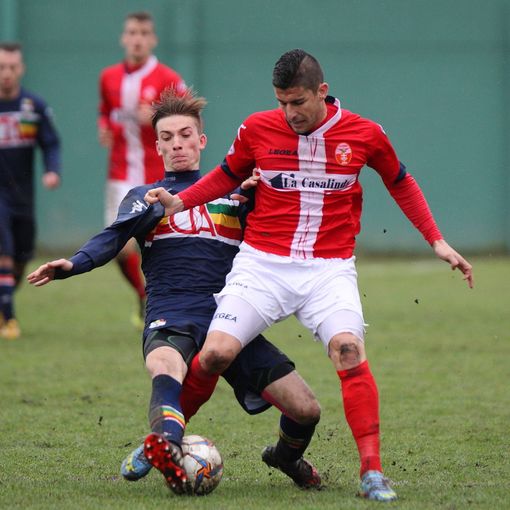 Piotto nel match contro il Cuneo (Foto Prisco)