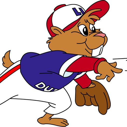 Avigliana Bees e Avigliana Rebels guidano la classifica generale Winter Ball Under 15 di baseball