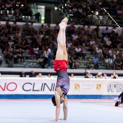 Torino, 150° anniversario della  Federazione Ginnastica d'Italia