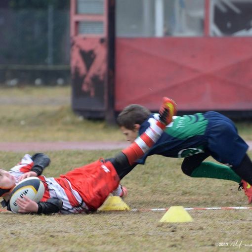 Rugby, tutti gli impegni delle squadre giovani del Rivoli