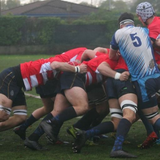 Rugby, Itinera Cus ad Maiora 1951: sconfitte per la Maschile di serie A e i Bulls di serie C