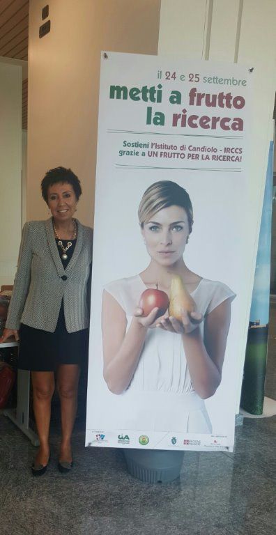 Chieri, Sacco (FI): "Sull'ospedale unico siamo pronti ad appellarci al Tar" Chieri, Sacco (FI): "Sull'ospedale unico siamo pronti ad appellarci al Tar"