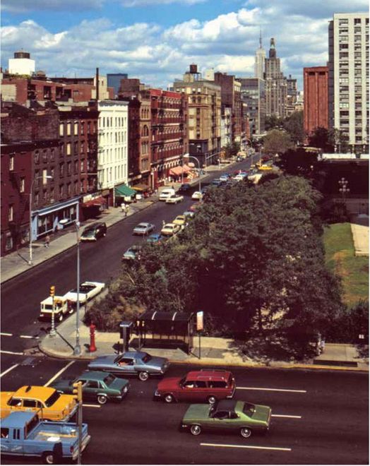 Al PAV, la mostra Seeds of Time dell'artista statunitense Alan Sonfist