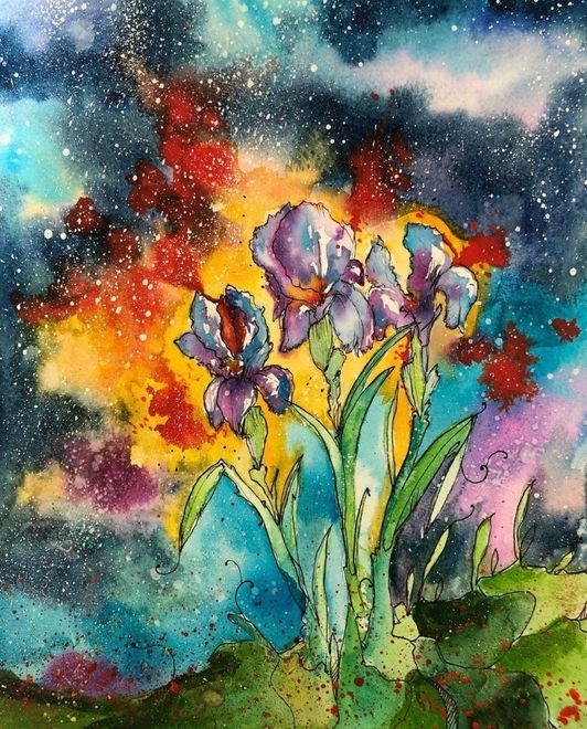 Iris, Vallenari Giuseppe in arte "El Matador Alegre" (https://www.elmatadoralegre.com/)