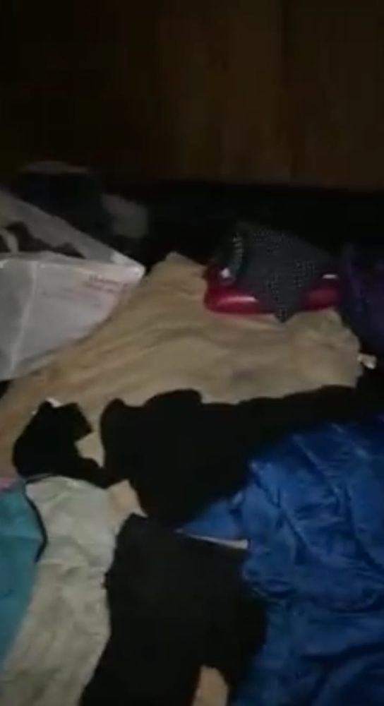 Papà separato "costretto" a vivere in tenda: il suo video-racconto fa il giro dei social Papà separato "costretto" a vivere in tenda: il suo video-racconto fa il giro dei social