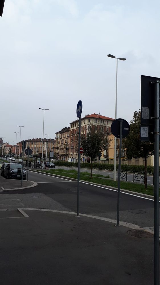 Corso Principe Oddone, Magliano: "Nessuno tocchi telecamere e pattuglione" Corso Principe Oddone, Magliano: "Nessuno tocchi telecamere e pattuglione"