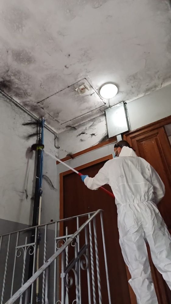 uomo in azione per spegnere incendio uomo in azione per spegnere incendio