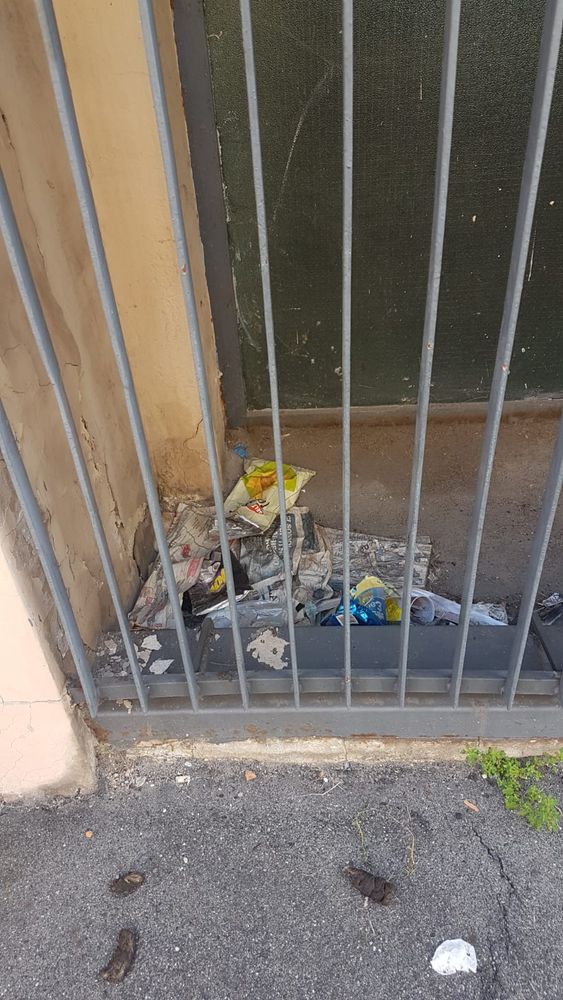 Tra deiezioni canine e rifiuti, via Ceresole affoga nel degrado. Petrarulo: “Quando la pulizia?”