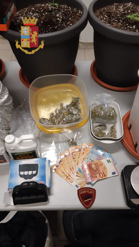 Un uomo lancia un coltello e vari oggetti dalla finestra, interviene la polizia e in casa scopre una serra di marijuana