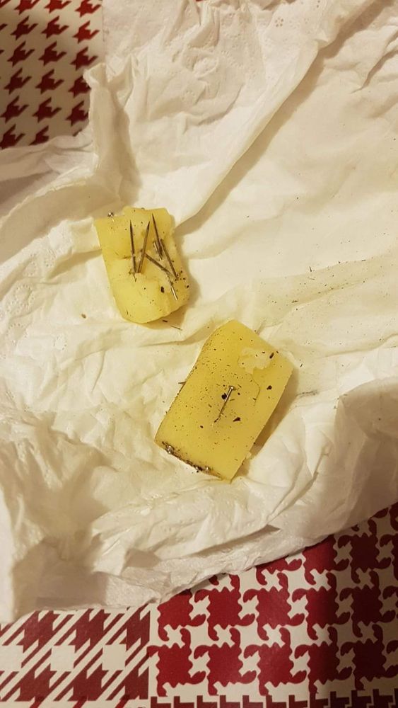 Grugliasco, torna l'allarme dei bocconi con i chiodi nell'area di viale Radich Grugliasco, torna l'allarme dei bocconi con i chiodi nell'area di viale Radich