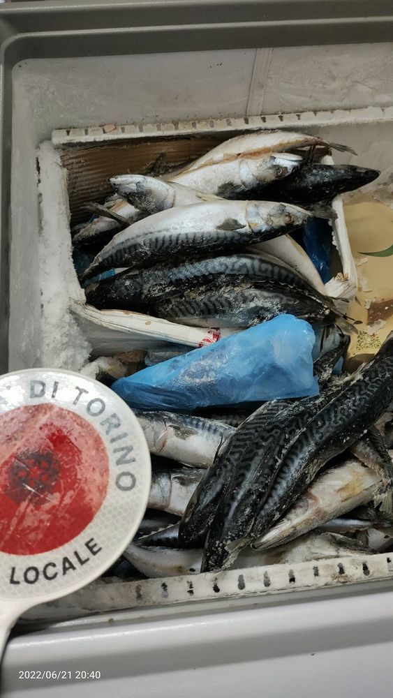 pesce e cibo mal conservato pesce e cibo mal conservato