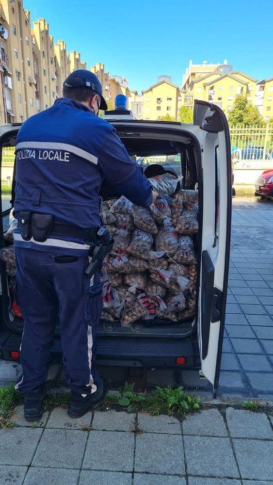 Lotta all’abusivismo, sequestrati 245 kg di noci e sanzione di 2.582 euro al venditore senza permessi