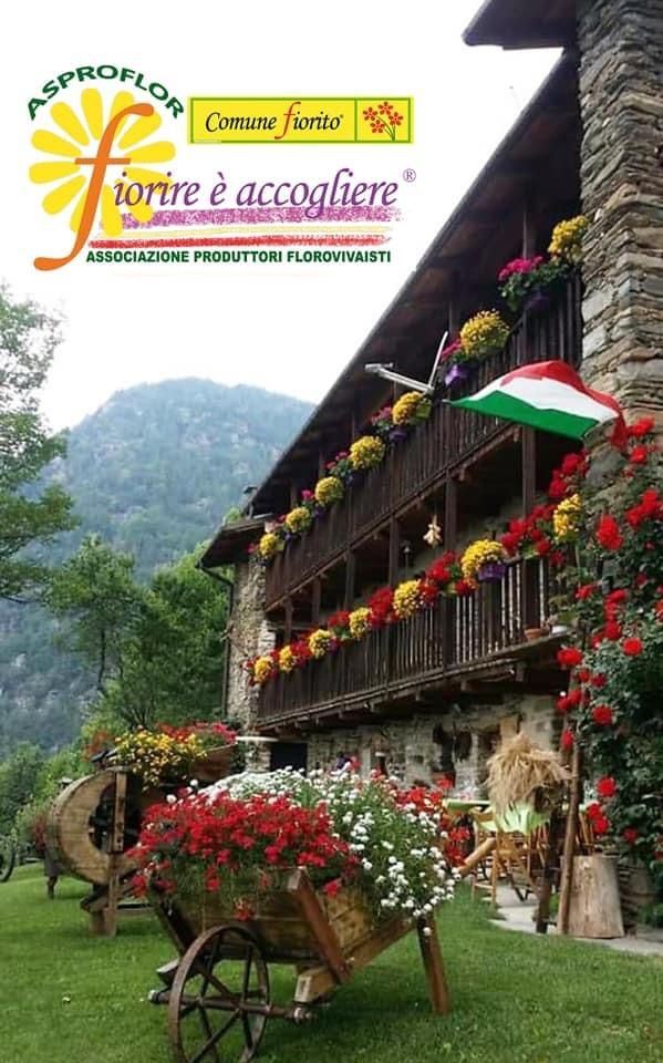 Ingria e Pomaretto sono già Comuni Fioriti