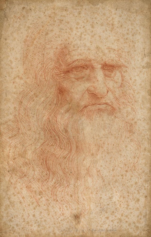 "A tu per tu con Leonardo": in mostra il celebre Autoritratto e il Codice sul volo degli uccelli "A tu per tu con Leonardo": in mostra il celebre Autoritratto e il Codice sul volo degli uccelli