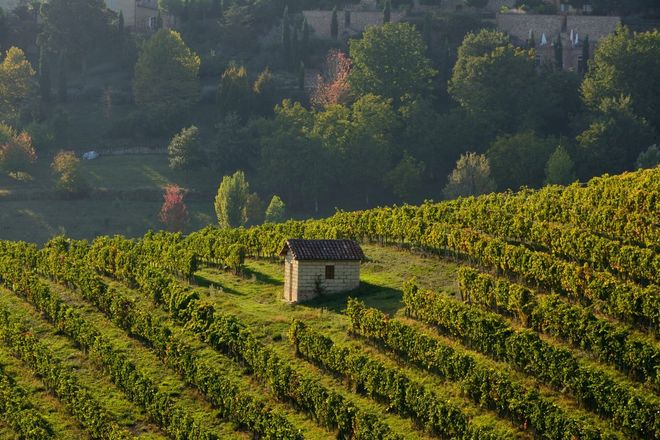 La cantina Produttori di Govone apre le porte al pubblico La cantina Produttori di Govone apre le porte al pubblico