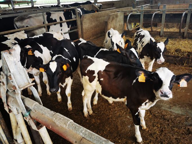 Nominato il nuovo Consiglio di Amministrazione della cooperativa Piemonte Latte