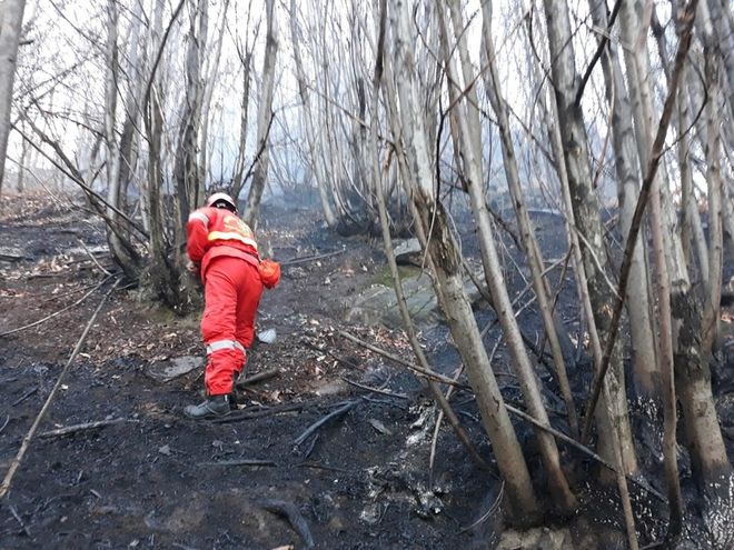 Incendi, la Regione revoca lo stato di massima pericolosità per i boschi piemontesi