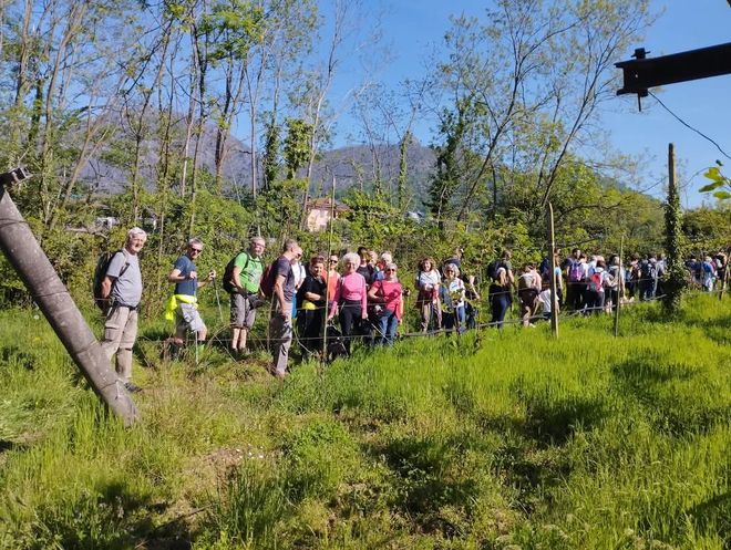 (Foto di repertorio) (Foto di repertorio)