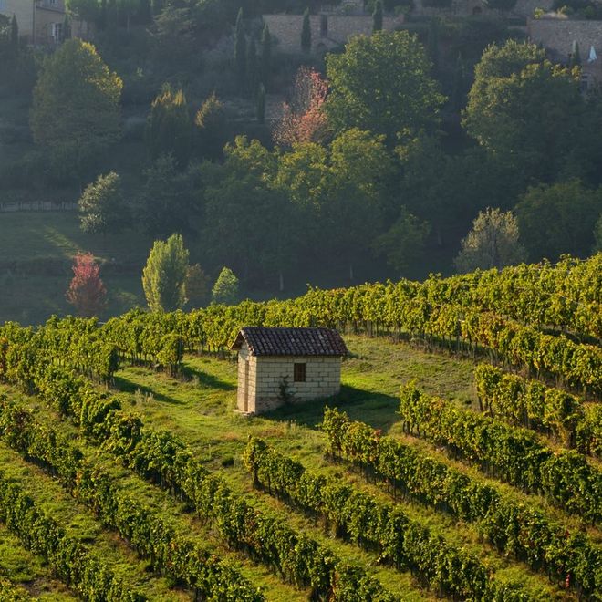 La cantina Produttori di Govone apre le porte al pubblico
