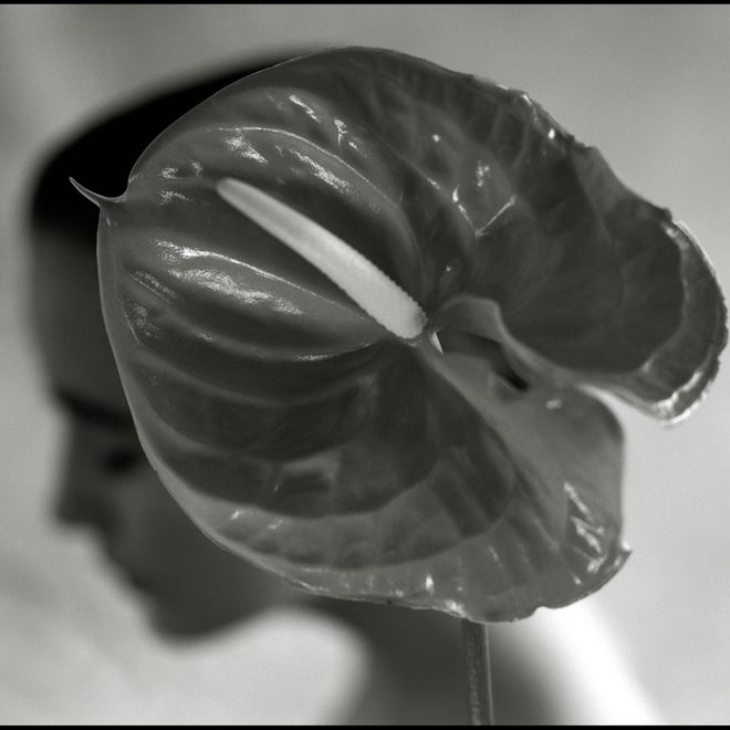 Mark Arbeit