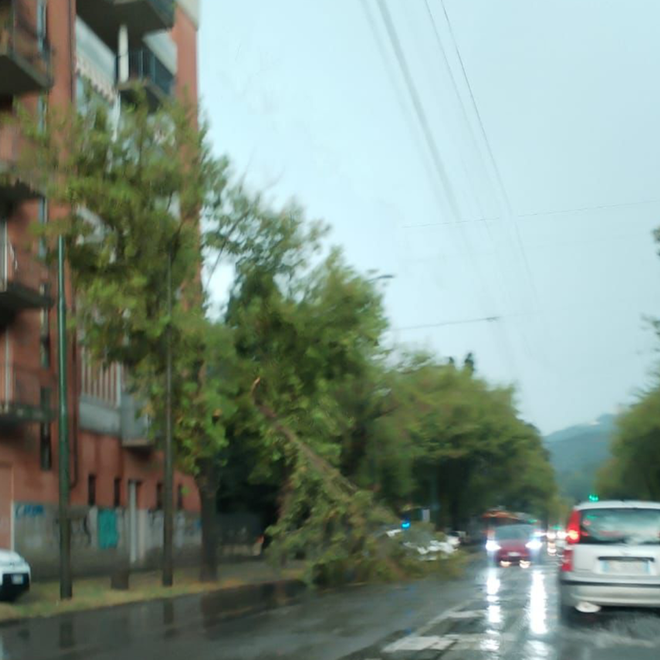 Maltempo, il comune fa la conta dei danni e raccomanda: &quot;Attenzione a sostare sotto gli alberi&quot;