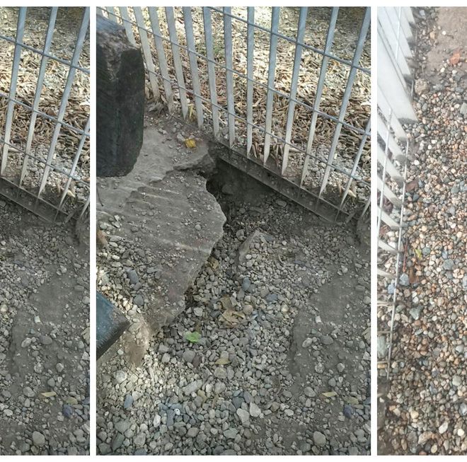 L’area cani è piena di buche? In corso Svizzera la Circoscrizione le chiude
